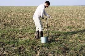Personne procédant à un prélévement de sol avec une tarrière pour analyse