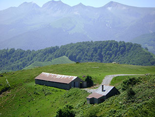 Ferme de montagne 