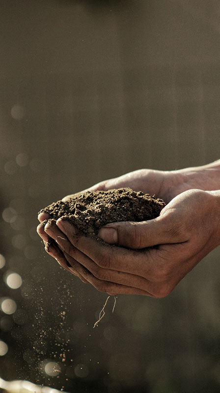 mains tenant de la terre